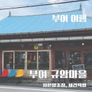 부여 가볼만한 곳 규암마을 자온양조장 책방세간