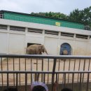 석적초교(병설) 이미지