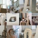 미아오스트럭쳐