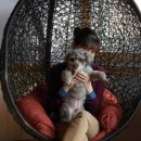 방긋웃개 이미지