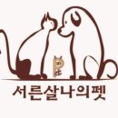 마이펫 애견 미용 이미지