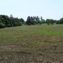 난산리-8 이미지