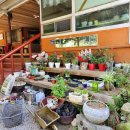 대한꽃농원 이미지