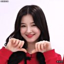 위조 지패의 판결은 이미지