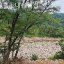 양양들꽃내음펜션 이미지