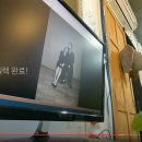 셀피하우스