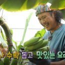 다릿골농장식당 | 밥상원정대 네박자 안성 바나나 농장 촬영지 어디? 6시내고향 경기 안성 육중환 바나나 요리 여름 달콤...