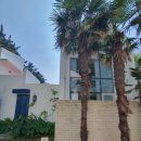 하도기록 | 제주동쪽감성숙소 사진 잘 나오는 하도기록 PAGE2 객실 후기