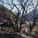 두곡리경로당 이미지