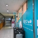 약지애견카페 | 인천 상주견 많은 약지애견카페 방문 추천 후기