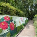 금호공원체육관 이미지