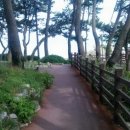 송정민박 이미지