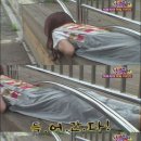 개구멍 TV리포트