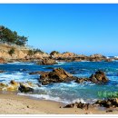 블루로드 이미지