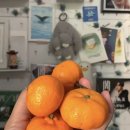 Bought too much oranges 이미지