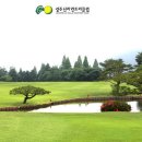 신라관광(주)