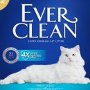 크린21