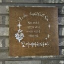 바다빛 | 동탄 베이비 스튜디오 ‘빛이내리는 바다’ 후기🖤 옷부터 분위기까지 완벽했던 하루