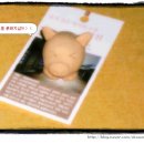 합천토종흙돼지 이미지