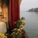 바다의숲 이미지