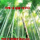 창평우리병원 이미지