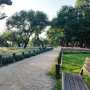 성주 경산리 성밖숲 이미지