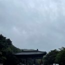 해인사쇼핑센터 | [합천·성주여행] 폭포따라 가야산 소리길 올라가서 팔만대장경보고 왔어요(상세후기)