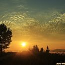 도시의 아침 이미지