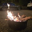 별을 담은 숲 이미지