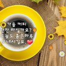 노란커피