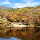 팔공산 단풍축제와 동화사참배, 이미지