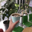 골프존 에코 GDR 아카데미 이미지