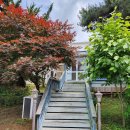 도토리 정원 이미지