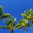 여미지식물원 이미지