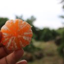 연리지농장 이미지