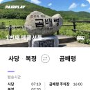 산들화원 - 창원시 의창구 화천로 25 | [곰배령] 인제 점봉산, 천상의 화원이라는 곰배령 등산! feat 페어플레이