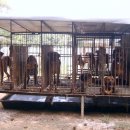 경인농장 이미지