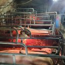 홍은농장 이미지