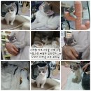 별이네하우스 이미지