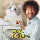 카페는취미입니다만