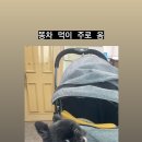 선우카센타 이미지