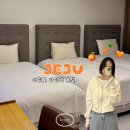 스위트메이서귀포호텔 | 제주 서귀포 3인 가성비 숙소 추천 스위트메이 호텔