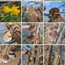 산내뜰생태어린이집 이미지