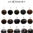 멍스럽 이미지
