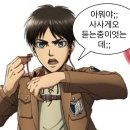 엘빈헤어 | 안 살 수가 없었다… 메가하우스 진격의 거인 룩업 피규어 실물 후기