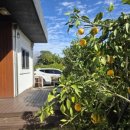 스테이 마당 이미지