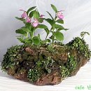 복주머니 이미지