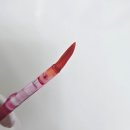 수채화 | 오버립 라인 타투까지 OK! 얼리언스 수채화 립타투 후기