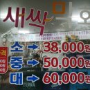 백김치새싹막회본점 이미지