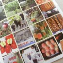 산애산과일농장